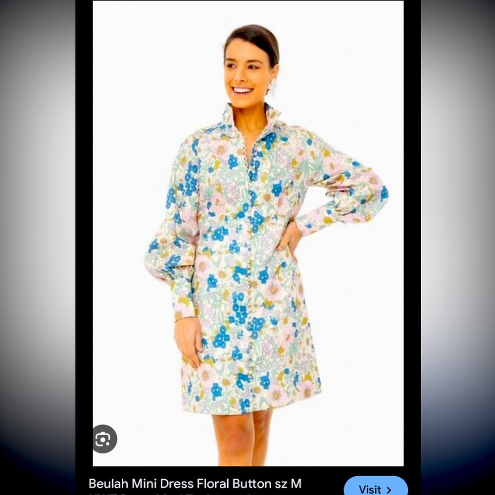 NWT Beulah mini dress, mod floral